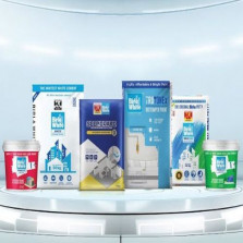 Birla White Primers Cements