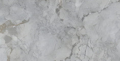 PGVT GREY STONE MARBLE F4 600X1200MM
