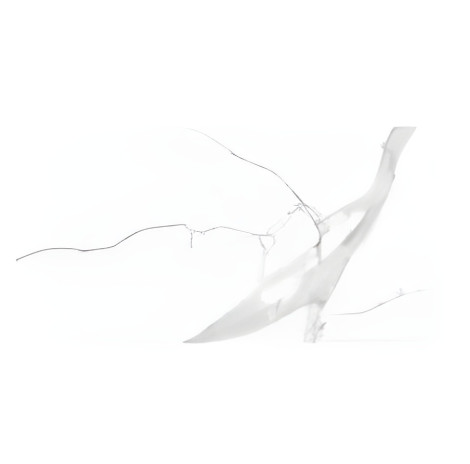 PGVT STATUARIO NATURA F4 600X1200MM