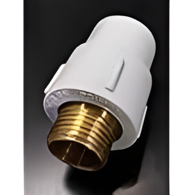 UPVC Male adapter Brass Threaded 1