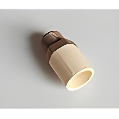 CVPC Male Adaptor Plastic Threaded 3/4