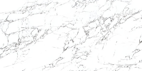 PGVT ARABESCATO BAINCO F4 600X1200 MM