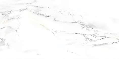 PGVT CARARA NATURA F4 600X1200MM