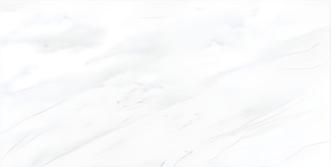 PGVT CALACUTTA SUPER WHITE F4 600X1200MM