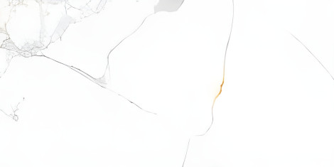 PGVT CALACATTA NATURA F4 600X1200MM