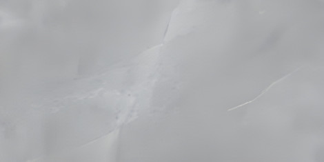 PGVT MONACO GREY F4 600X1200MM