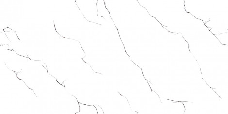 PGVT ENDLESS ATLANTIC SUPER WHITE F1 600X1200MM