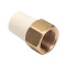 CVPC Female Adaptor Brass Threaded 11/2