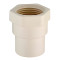 CPVC Female Adaptor Plastic Threaded 2