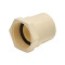 CPVC Female Adaptor Plastic Threaded 1/2