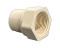 CPVC Female Adaptor Plastic Threaded 3/4