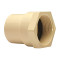 CPVC Female Adaptor Plastic Threaded 1