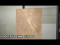 PGVT PULPIS MARBLE BEIGE 600X1200MM