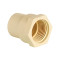 CPVC Female Adaptor Plastic Threaded 11/2