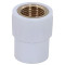 UPVC Female adaptor Brass Threaded 2