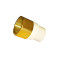 CVPC Female Adaptor Brass Threaded 1/2