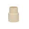 CPVC Reducer Coupler 1