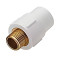 UPVC Male adapter Brass Threaded 3/4