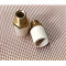 CVPC Male Adaptor Brass Threaded 1