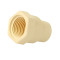 CPVC Female Adaptor Plastic Threaded 11/2
