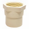 CPVC Female Adaptor Plastic Threaded 2