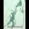 DR GLOSS CARARA GREEN MARBLE F1600X1200MM